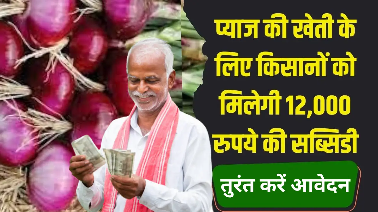 Onion Subsidy Yojana